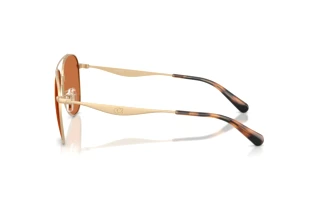 [glasses-side-view] Coach CDP40 (HC7190 - 900573)