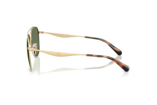 [glasses-side-view] Coach CDP40 (HC7190 - 900582)