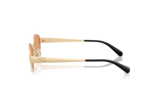 [glasses-side-view] Coach CDP44 (HC7192D - 900584)