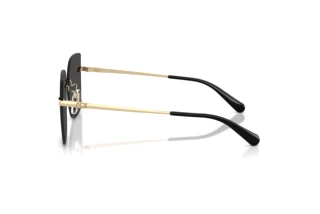 [glasses-side-view] Coach CDP45 (HC7193D - 900587)