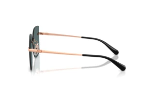 [glasses-side-view] Coach CDP45 (HC7193D - 94071U)