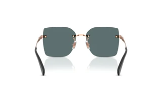 [glasses-back-view] Coach CDP45 (HC7193D - 94071U)