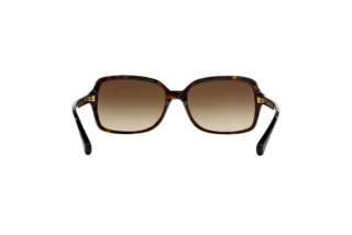 [glasses-back-view] Coach L087 BLAIR (HC8116 - 500113)