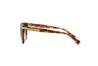 [glasses-side-view] Coach L109 (HC8132 - 528713)