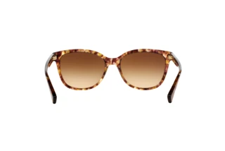 [glasses-back-view] Coach L109 (HC8132 - 528713)