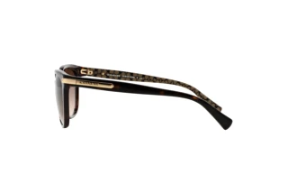 [glasses-side-view] Coach L109 (HC8132 - 529113)