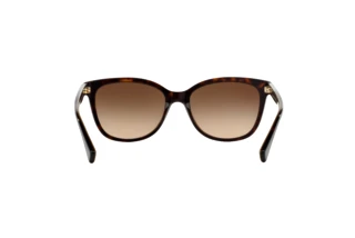 [glasses-back-view] Coach L109 (HC8132 - 529113)