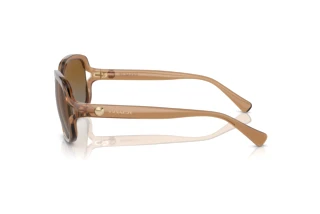 [glasses-side-view] Coach L149 (HC8169 - 5561T5)