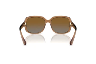 [glasses-back-view] Coach L149 (HC8169 - 5561T5)