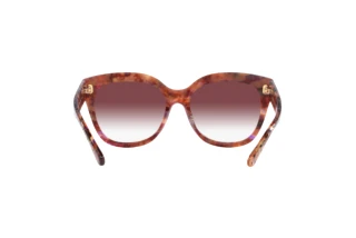 [glasses-back-view] Coach L1083 (HC8264 - 57398H)