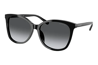 Coach L1101 HC 8271U 5002T3