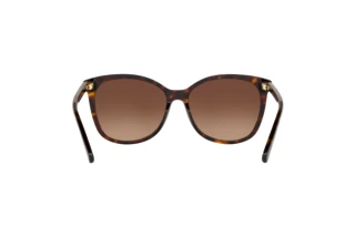 [glasses-back-view] Coach L1101 (HC8271U - 5120T5)