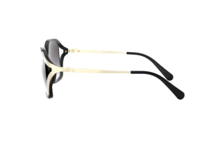 [glasses-side-view] Coach L1116 (HC8280U - 50028G)