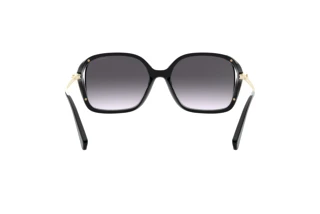 [glasses-back-view] Coach L1116 (HC8280U - 50028G)