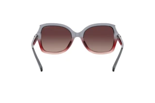 [glasses-back-view] Coach L1147 (HC8295 - 5620E2)