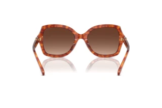 [glasses-back-view] Coach L1147 (HC8295 - 5774T5)