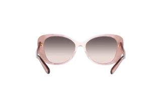 [glasses-back-view] Coach C6183 (HC8322 - 5656U8)