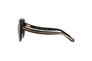 Sidovy Coach C6185 (HC8323U - 50028G)