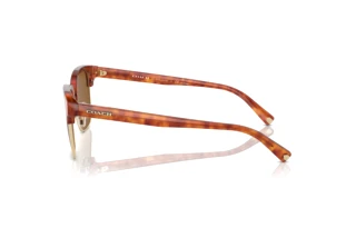 [glasses-side-view] Coach C6194 (HC8326 - 577483)