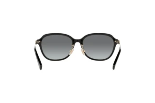 [glasses-back-view] Coach C6199 (HC8332D - 500211)