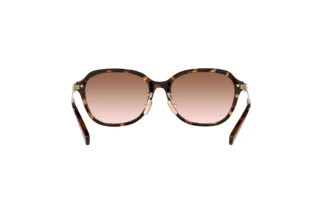 [glasses-back-view] Coach C6199 (HC8332D - 512013)