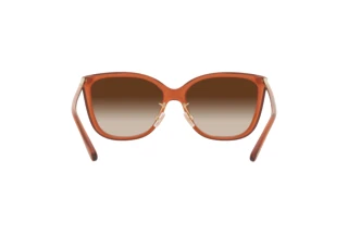 [glasses-back-view] Coach C9206 (HC8345 - 570013)