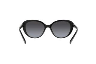 [glasses-back-view] Coach CD479 (HC8348U - 50028G)