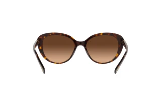 [glasses-back-view] Coach CD479 (HC8348U - 512074)