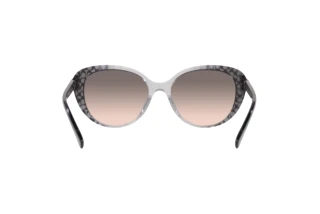 [glasses-back-view] Coach CD479 (HC8348U - 57103B)