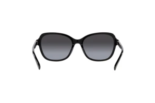 [glasses-back-view] Coach CD481 (HC8349U - 50028G)