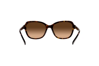 [glasses-back-view] Coach CD481 (HC8349U - 512074)