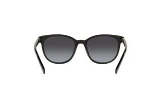 [glasses-back-view] Coach CD478 (HC8350U - 50028G)