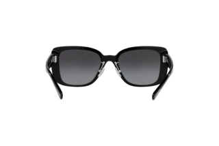 [glasses-back-view] Coach CD472 (HC8352 - 50028G)