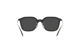 [glasses-back-view] Coach CD461 (HC8355 - 500287)