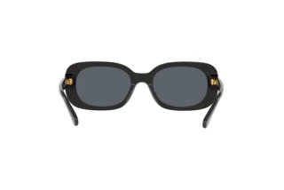 [glasses-back-view] Coach CD471 (HC8358U - 500280)