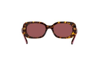 [glasses-back-view] Coach CD471 (HC8358U - 512069)