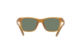 [glasses-back-view] Coach CD455 (HC8359U - 52513H)