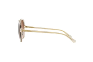 [glasses-side-view] Coach CH557 (HC8360U - 573613)