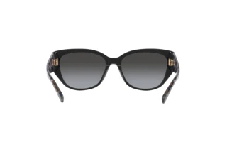 [glasses-back-view] Coach CH563 (HC8362U - 50028G)