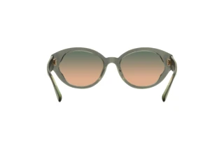 [glasses-back-view] Coach CH569 (HC8364U - 574613)