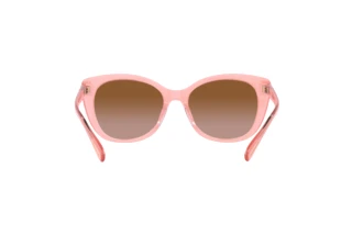 [glasses-back-view] Coach CH566 (HC8365U - 574313)