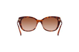 [glasses-back-view] Coach CH566 (HC8365U - 574413)