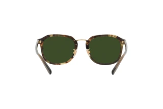 [glasses-back-view] Coach CH577 (HC8366 - 575571)