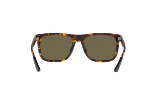 [glasses-back-view] Coach CH581 (HC8367U - 51203)