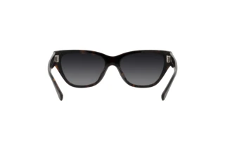 [glasses-back-view] Coach CH570 (HC8370U - 5764T3)