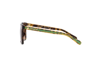 [glasses-side-view] Coach CH561 (HC8374U - 5120T5)