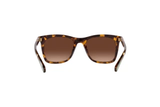 [glasses-back-view] Coach CH561 (HC8374U - 5120T5)