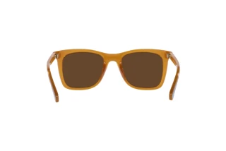 [glasses-back-view] Coach CH561 (HC8374U - 57483G)