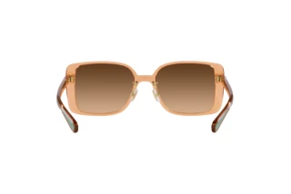 [glasses-back-view] Coach CH562 (HC8375 - 574974)