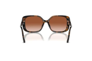 [glasses-back-view] Coach CL929 (HC8376U - 512013)